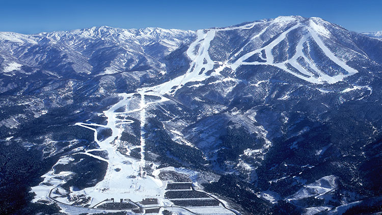 スキージャム勝山